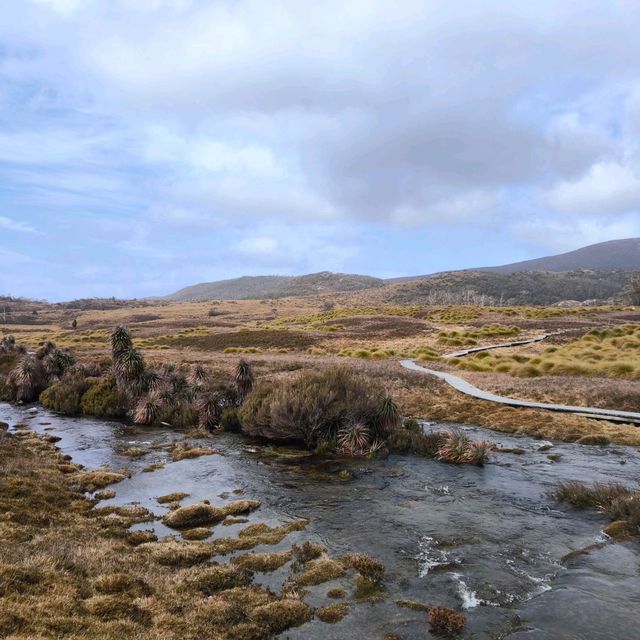 Tasmania Cradle mountain 