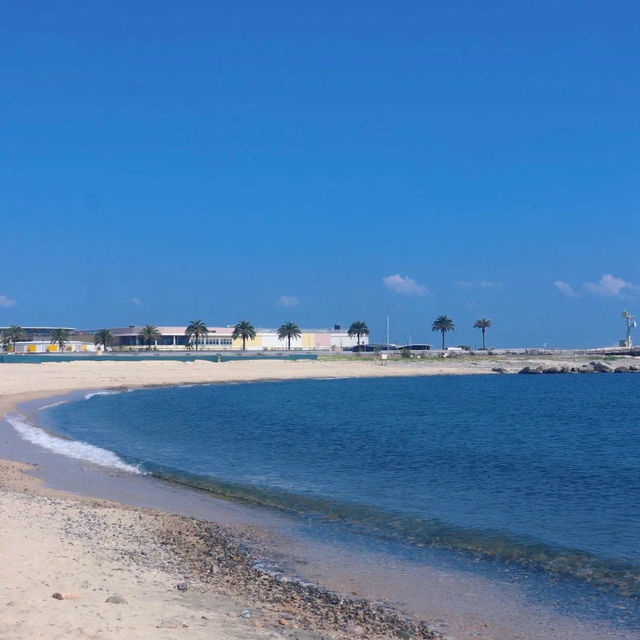 老虎海灘🏖️ 水清砂幼的海洋樂園！🏖️🌊