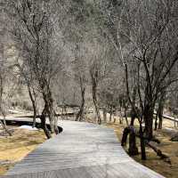 อุทยานโหมวหนีโกว (Munigou Valley) ประเทศจีน🇨🇳