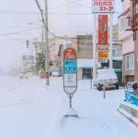 Sapporo, the heart of Hokkaido