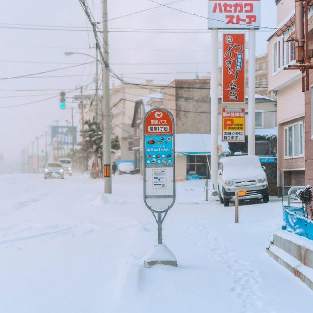 Sapporo, the heart of Hokkaido