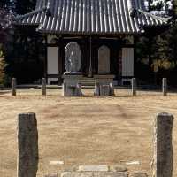 奈良の寺(唐招提寺と薬師寺)