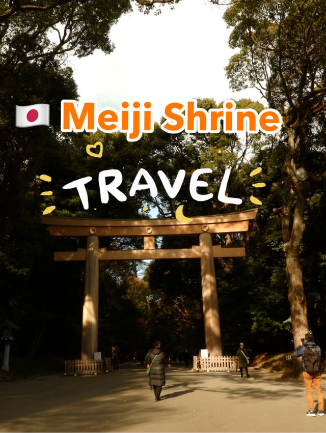 🇯🇵 Shibuya : Meiji Shrine 