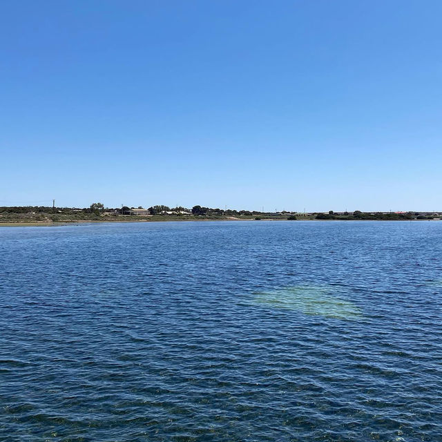 Hidden Gem of the Eyre Peninsula: Denial Bay