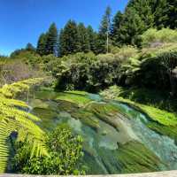 Crystal Clear Magic: Blue Springs, Putaruru