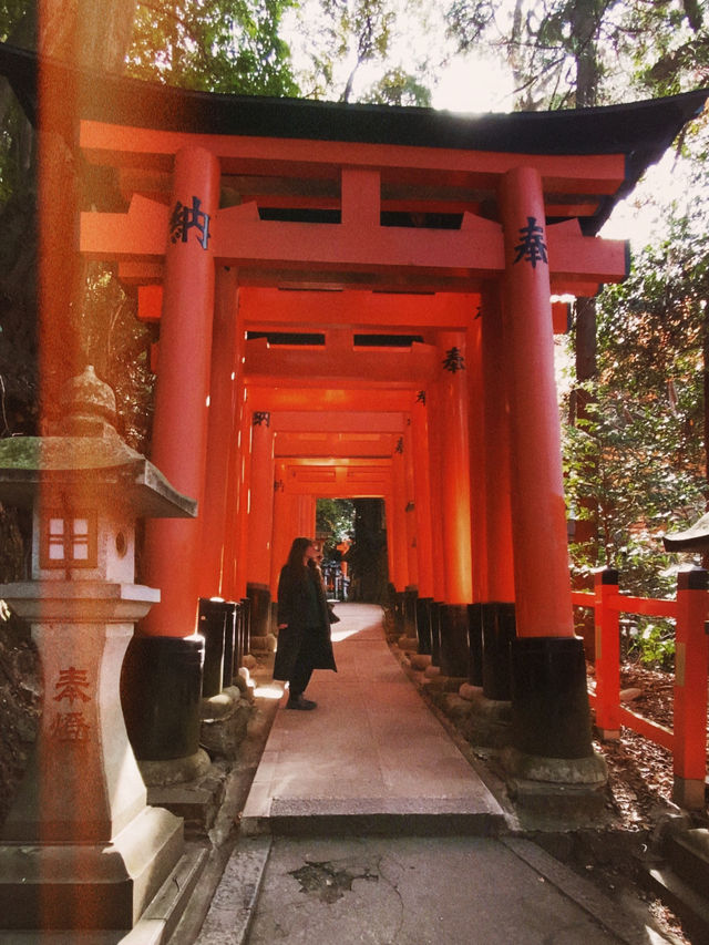 Autumn colors in Kyoto 🍁