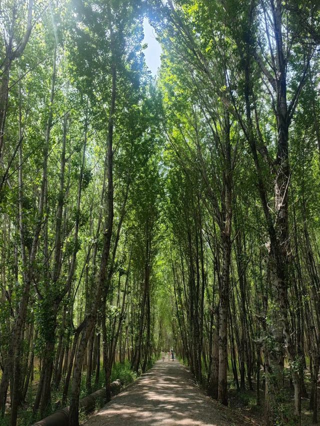 小眾露營攻略——雲南劍川縣劍湖