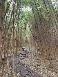 逛大觀園，憶“紅樓夢”裡的人情世故｜自駕路上