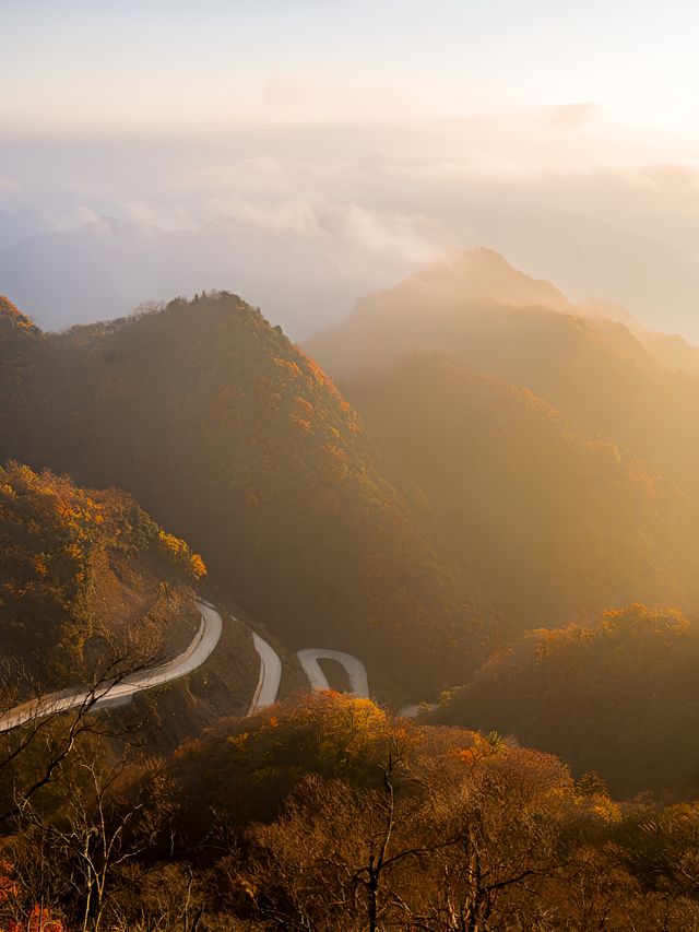 秦嶺山脈奔赴雲海日出 駕車直達太子嶺。