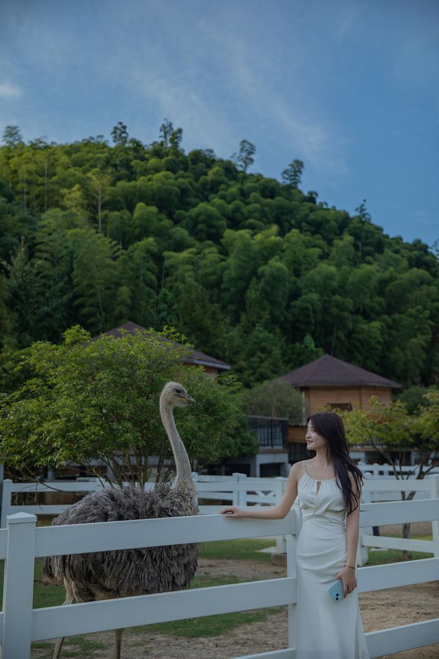 安吉夢幻之島，棲息之旅～。