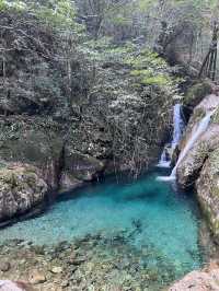 金華牛頭山國家森林公園｜金華八婺第一峰"