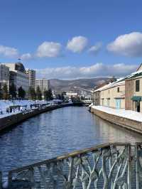 北海道旅居三年後的冬季出遊攻略🌨️