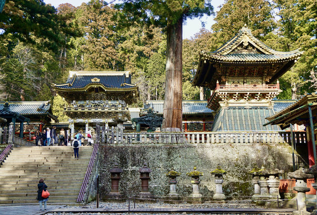 日本•栃木｜日光一日遊