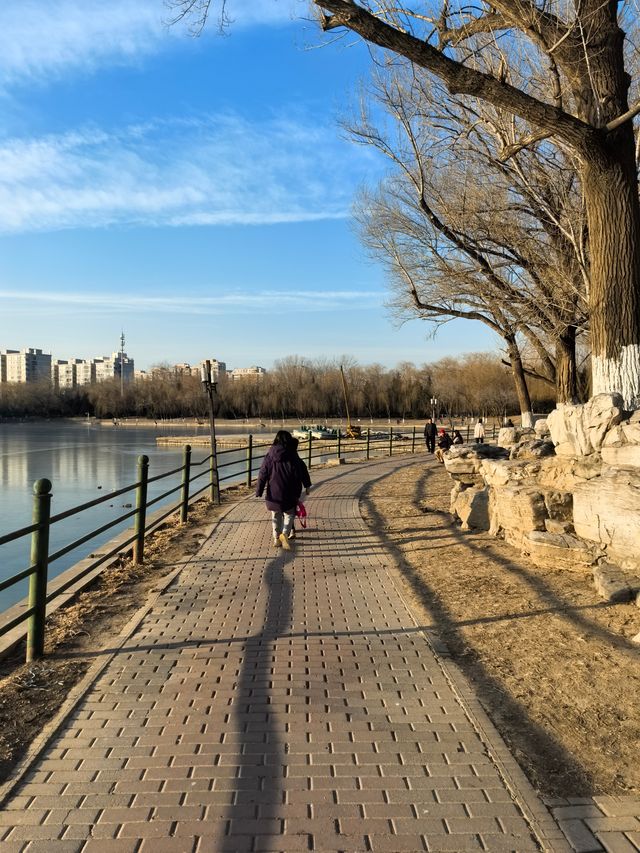 【冬日暖陽】朝陽公園，冬日裡的城市綠洲