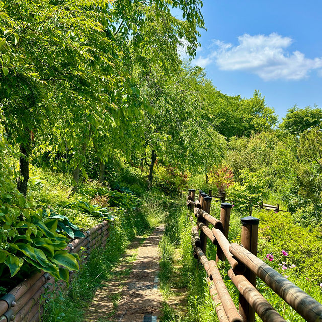 서울에서 1시간반! 1000여 종류의 다양한 식물이 있는 곳💚