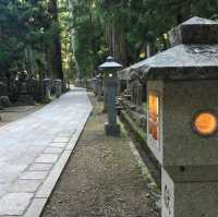 Experience Spiritual Camping at Koyasan