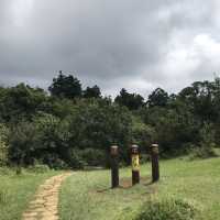 陽明山爬山之旅