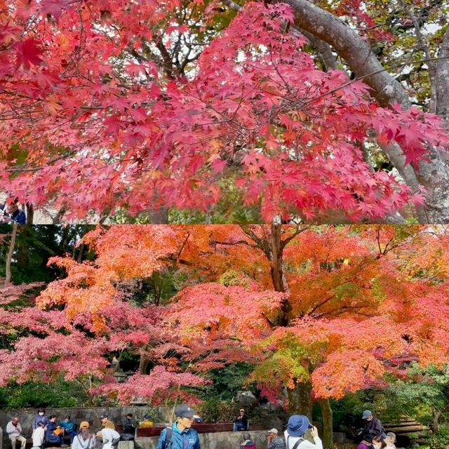 東京人氣景點