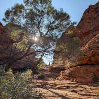 Unveil the Wonders of Kings Canyon - Watarrka National Park