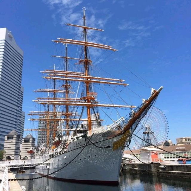 From old to younger in yokohama christmas season