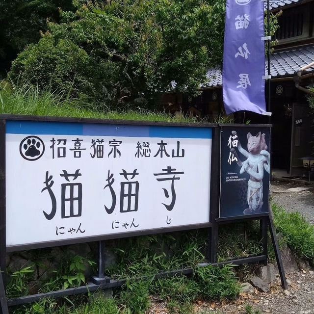 京都貓貓寺：癒心的可愛聖地