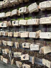 Discover Serenity at Meiji Jingu in Tokyo, Japan