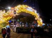 The Christmas Lights at uppee Orchard Road near ION Orchard 