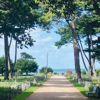 Green Oasis: Finding Peace at Williamstown Botanic Gardens