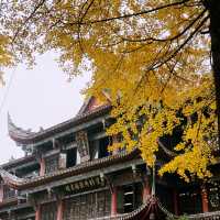 Golden Tranquility: Discover the Magic of Wenshu Yuan Monastery in Chengdu