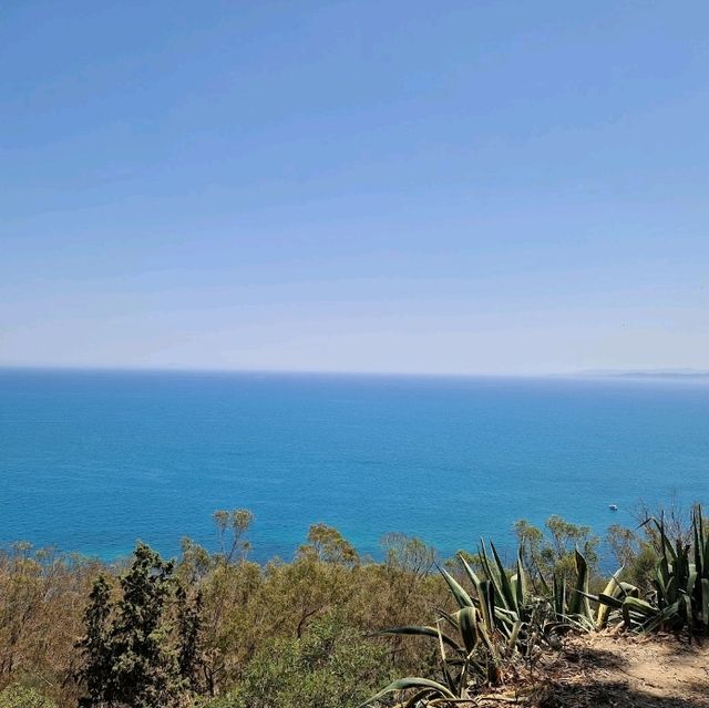 Stunning Sidi Bou Said Views 🌄