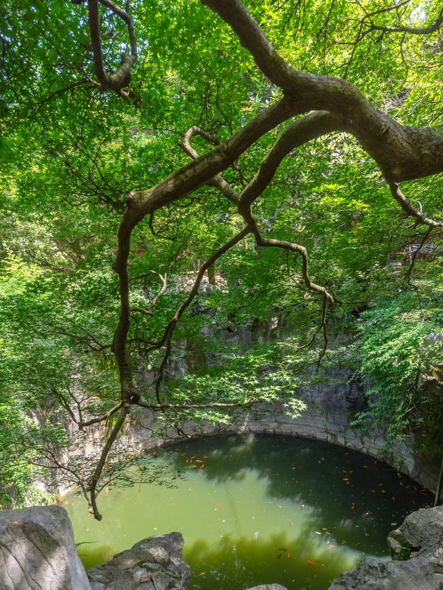 爬山，拍照，呼吸，親近，杭州也有山洞