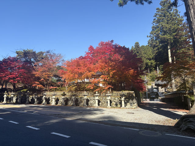 高野山——避開人流，和歌山縣的賞楓好地。