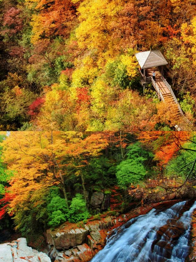 邂逅光霧山：紅葉簇擁中的詩與遠方