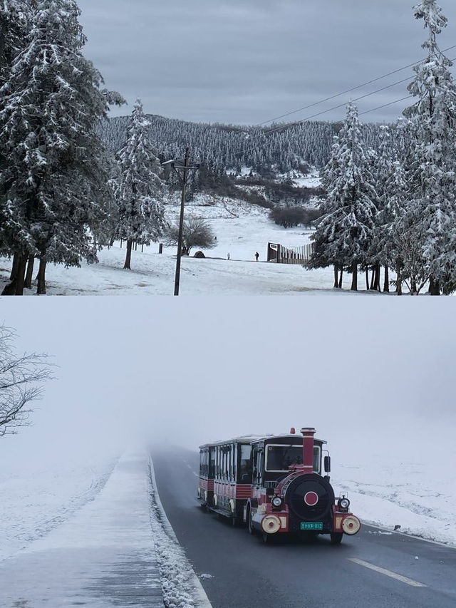 重慶仙女山睇雪一日遊詳細攻略。