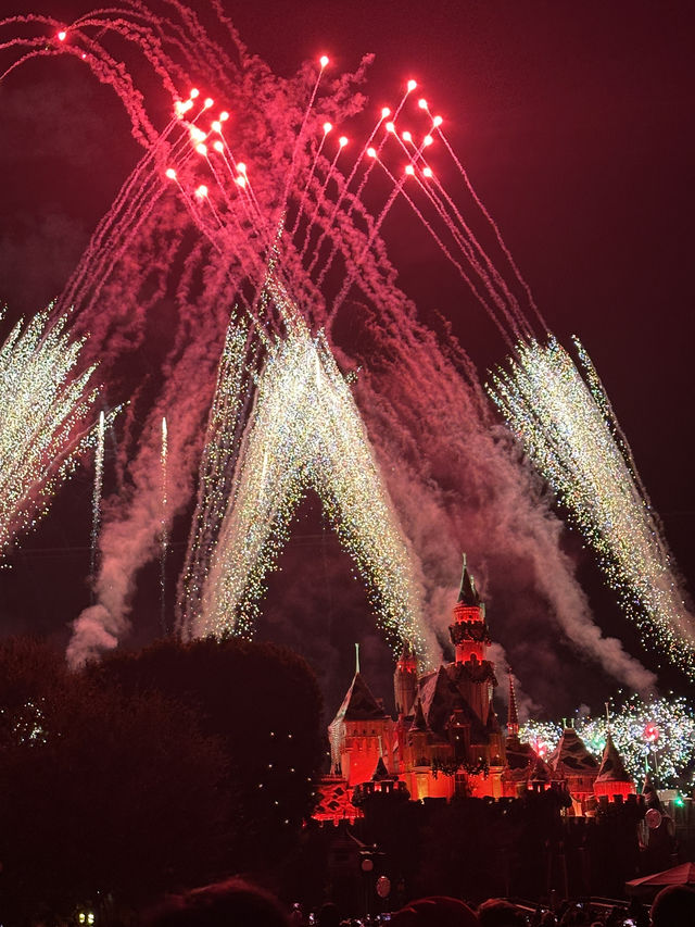 🎄｜California Disneyland Christmas Season is Here