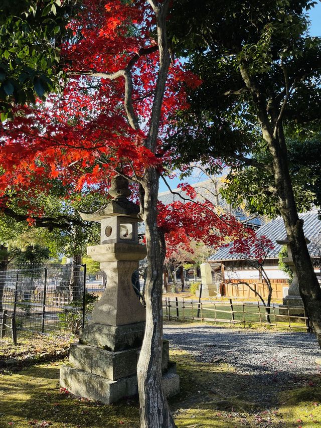 日本·京都清涼寺