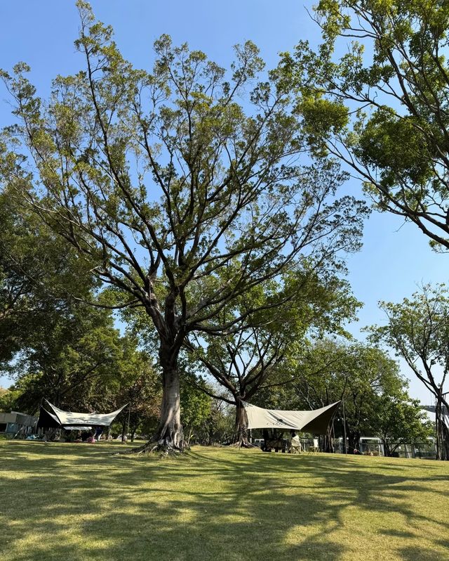 廣州會展公園，解鎖放鬆新勝地