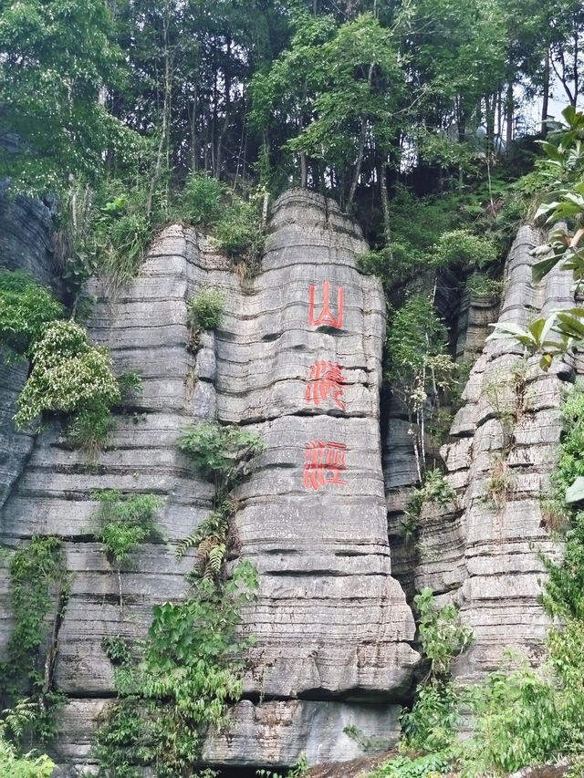 恩施市-神農架探秘：與國寶熊貓的近距離接觸攻略