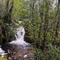  Cradle Mountain