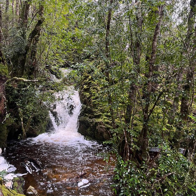  Cradle Mountain