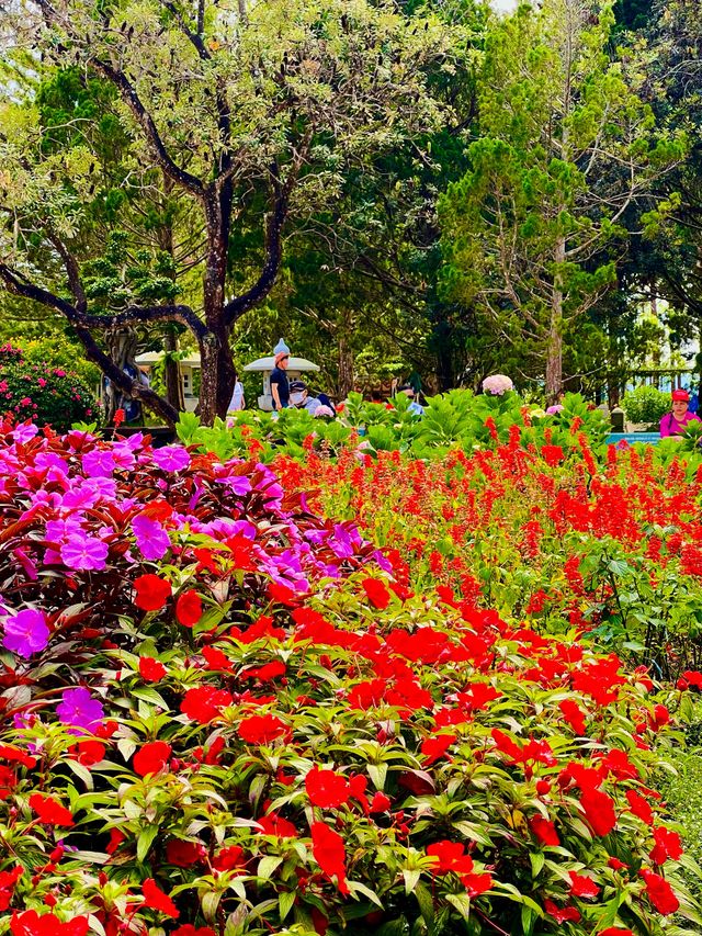 A Hidden Monastery In Dalat City🇻🇳