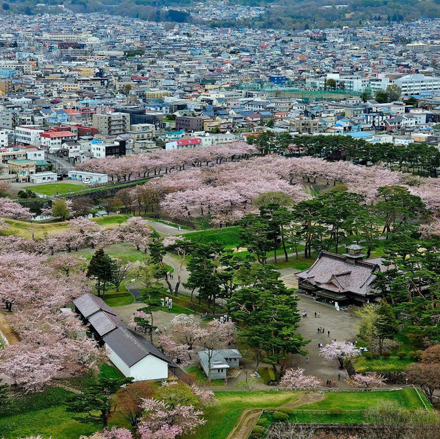 Unveiling Hokkaido's Spring Splendor