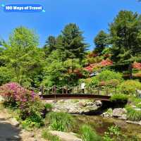 Nature’s Masterpiece: The Enchanting Garden of Morning Calm