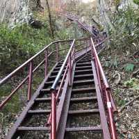 Naejangsan hiking trails in autumn