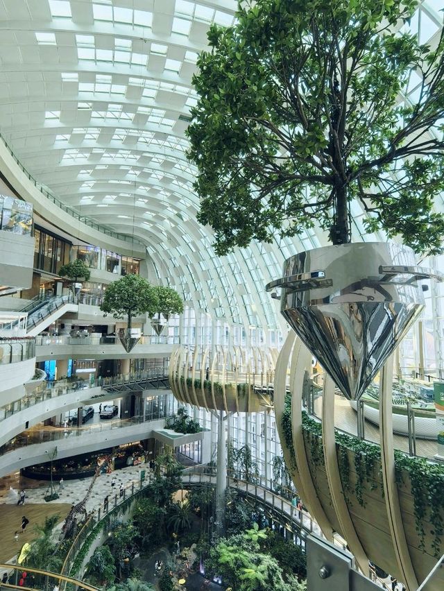 The Ring Mall, the most eco friendly mall.in Chongqing