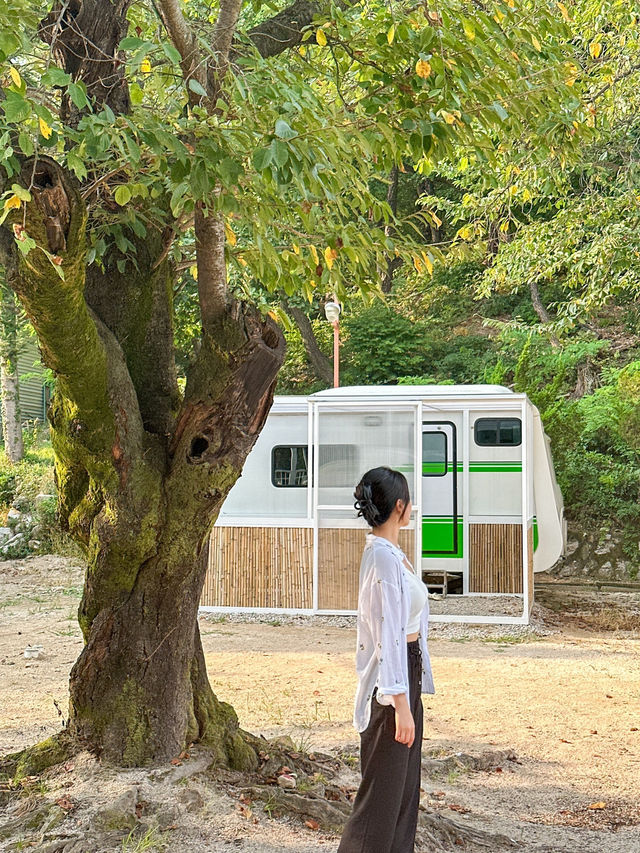 조식+석식포함 10만원대 글램핑장⛺️