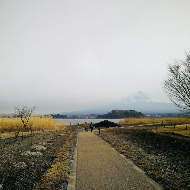 Facing Majesty: A Moment with Mount Fuji at Kawaguchiko