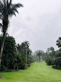 A visit to Singapore botanic garden 🪴 