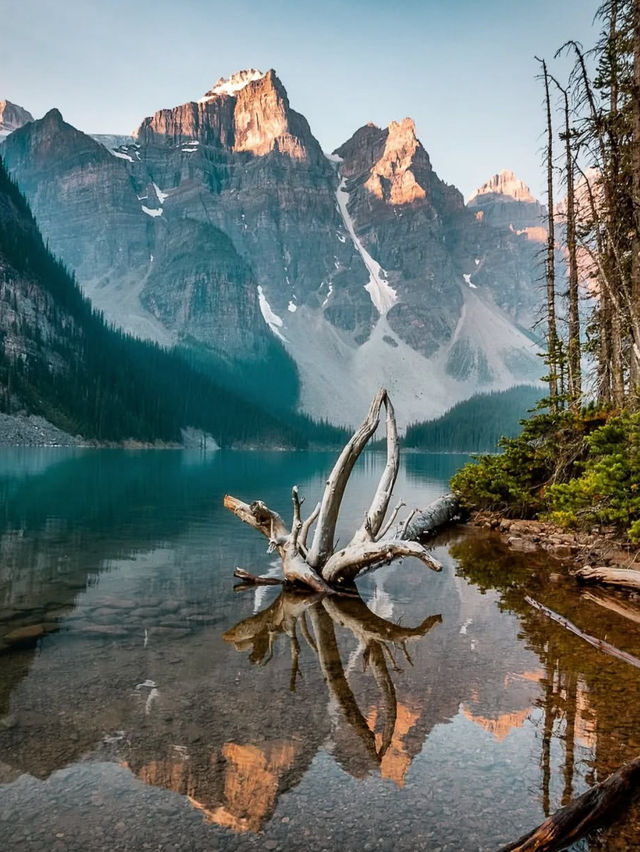 5 Reasons to Make Alberta Your Next Vacation Spot