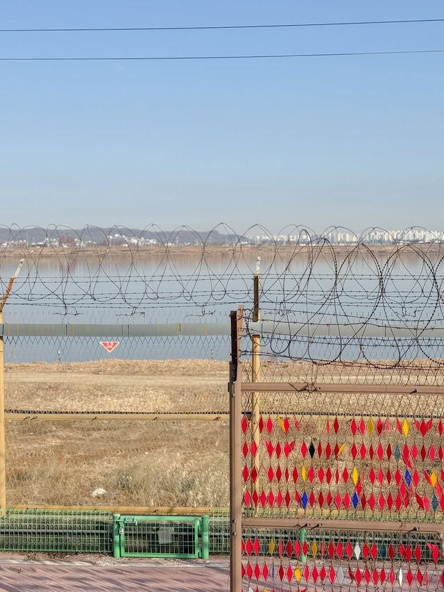 평화의 길과 함께 걷는 김포 여행 스팟🫧 